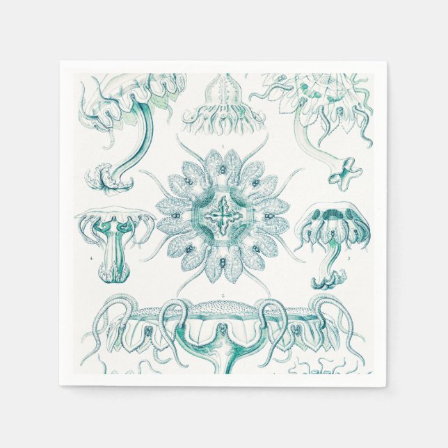Serviette En Papier Méduses, Discomedusae par Ernst Haeckel (Devant)