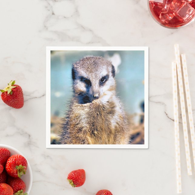 SERVIETTE EN PAPIER MEERKAT (En situation)