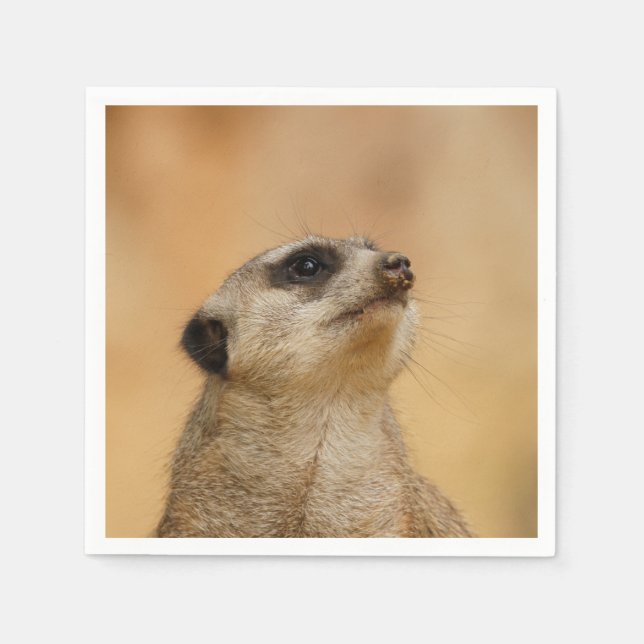 Serviette En Papier Meerkat20151002 (Devant)