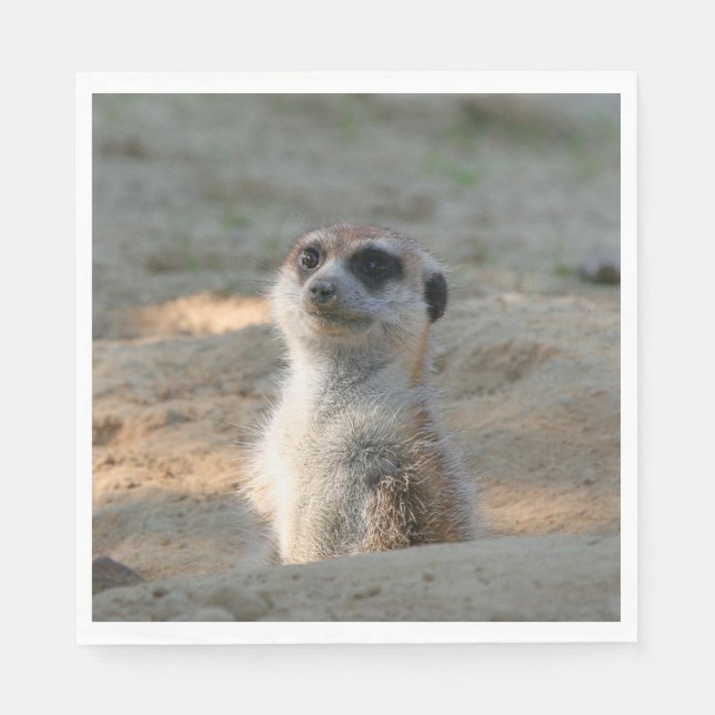 Serviette En Papier Meerkat 004 (Devant)