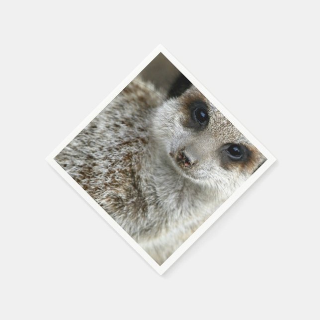 Serviette En Papier meerkat-16.jpg (Coin)