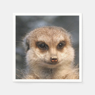 Serviette En Papier Meerkat-Portrait 002