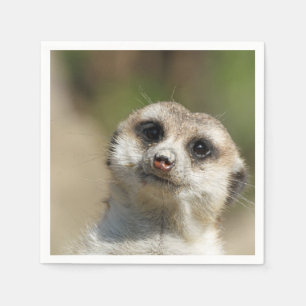 Serviette En Papier Meerkat-Portrait 003