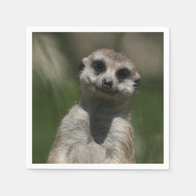 Serviette En Papier Meerkat-Portrait 004 (Devant)