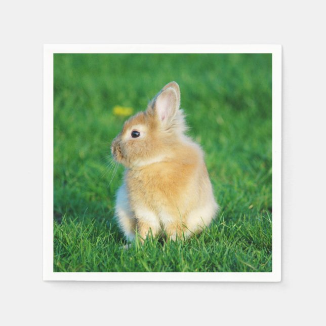 Serviette En Papier Mignonne Lapin Faune assis dans l'herbe (Devant)