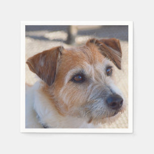 Serviette En Papier Mignonnes serviettes pour chien