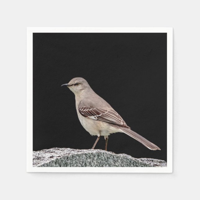 Serviette En Papier Mockingbird sur une pierre tombale (Devant)