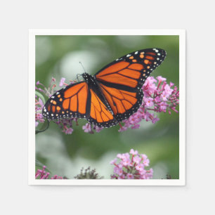 Serviette En Papier Monarque Orange Papillon Floral Photo