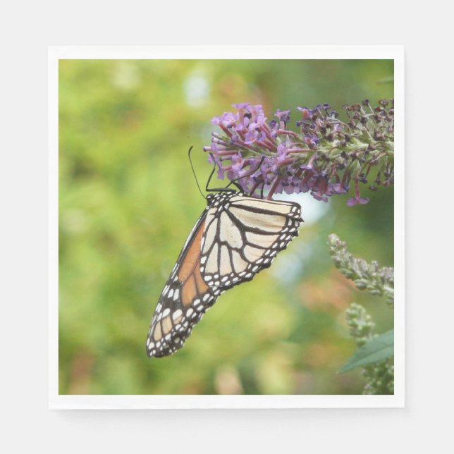 Serviette En Papier Monarque papillon sur Buddleia pourpre (Devant)