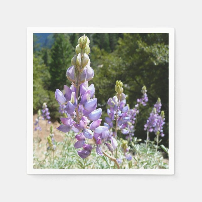 Serviette En Papier Mont Lupins (Devant)