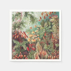 Serviette En Papier Mosses, Muscinae Laubmoose par Ernst Haeckel