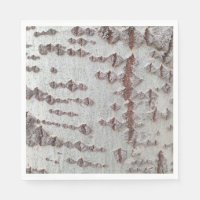 Motif d'écorce de bouleau