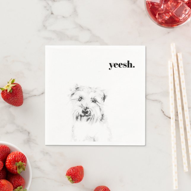 Serviette En Papier Mouchoirs Dash le Chien (En situation)