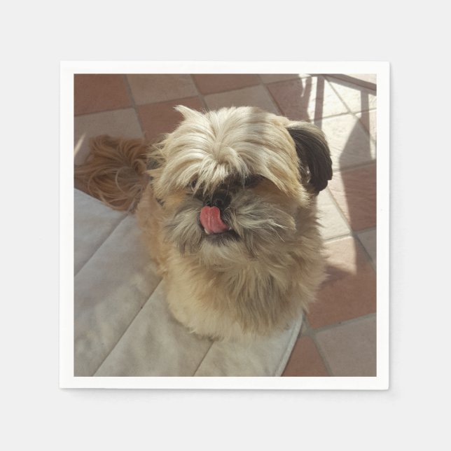 Serviette En Papier Mouchoirs en papier au chien Shih Tzu (Devant)