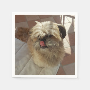 Serviette En Papier Mouchoirs en papier chien Shih Tzu