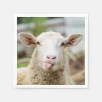 Mouton montrer langue