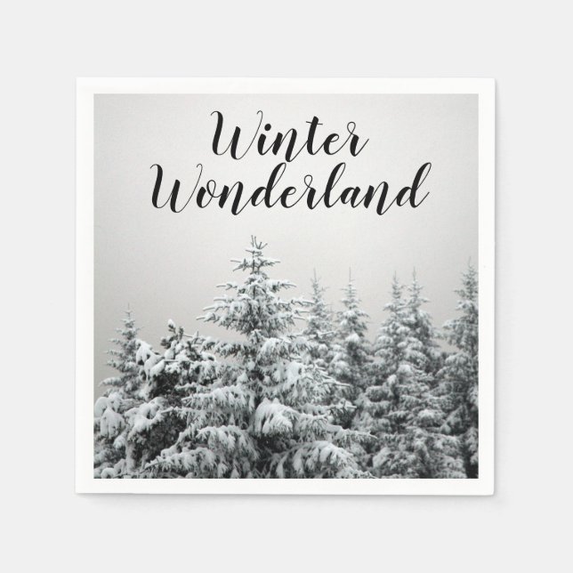 Serviette En Papier Napkins Winter Wonderland Party (Devant)
