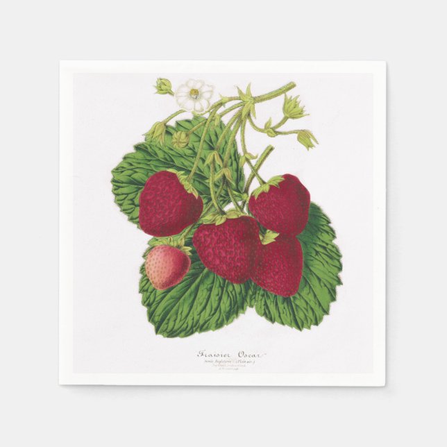 Serviette En Papier Naples d'impression de fraises anciennes (Devant)