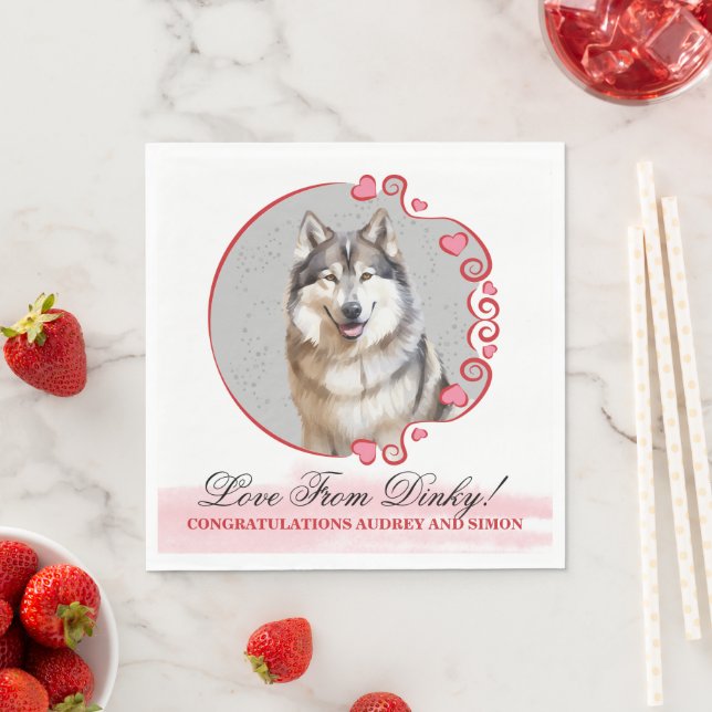 Serviette En Papier Naples Mariages Malamute en Alaska avec Chiens Pho (En situation)