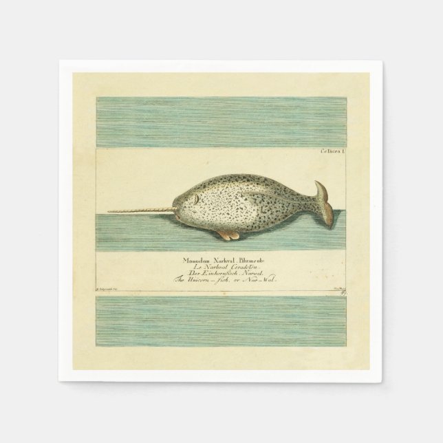 Serviette En Papier Narwhal Antique Baleine Aquarelle Art scientifique (Devant)
