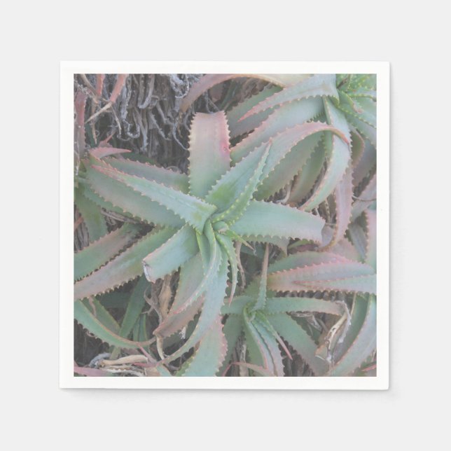 Serviette En Papier Nevada succulents (Devant)