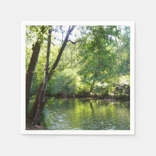 Serviette En Papier Oak Creek I à Sedona Arizona Nature Photographie