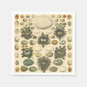 Serviette En Papier OEuf vintage Nid Art Peinture OEufs