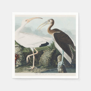 Serviette En Papier Œuvre d'art vintage d'Audubon sur l'Ibis blanc et