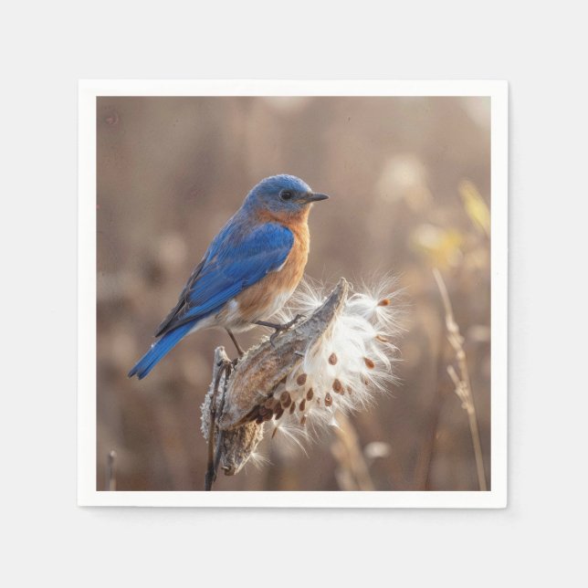 Serviette En Papier Oiseau bleu sur une cosse d'asclépiade (Devant)