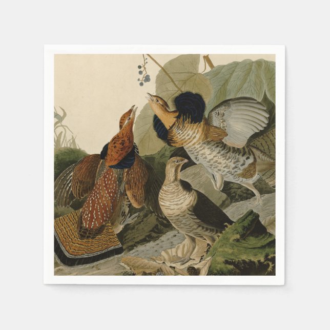 Serviette En Papier Oiseau de gibier Audubon (Devant)