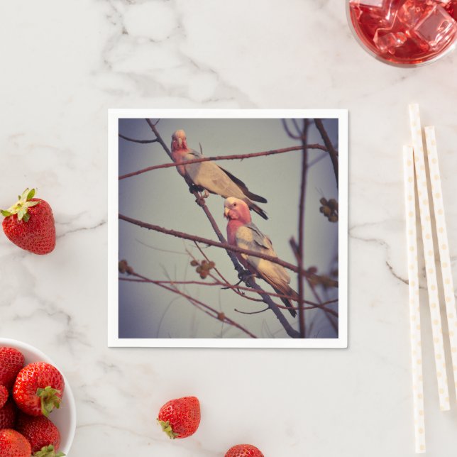 Serviette En Papier Oiseaux de Galah dans l'arbre 1 (En situation)