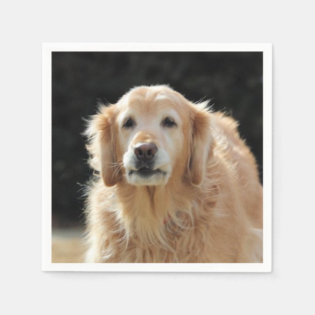 Serviette En Papier Oldie Golden (Devant)