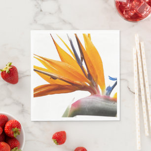 Serviette En Papier Orange Oiseau du Paradis Floral Plante