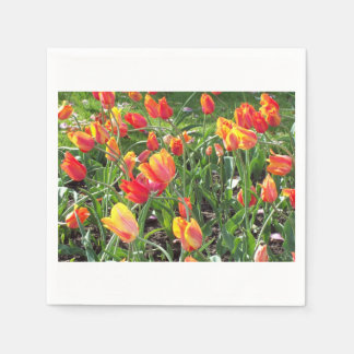 Serviette En Papier Orange Tulips Cocktail serviettes