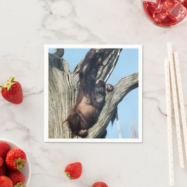 SERVIETTE EN PAPIER ORANGUTANS (En situation)