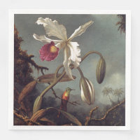 Orchidée brésilienne blanche