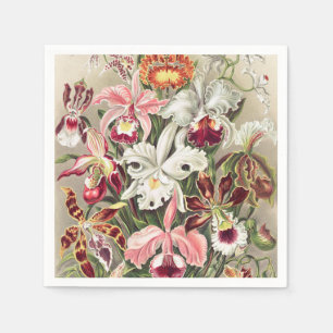 Serviette En Papier Orchidées, Orchideae Denusblumen par Ernst Haeckel