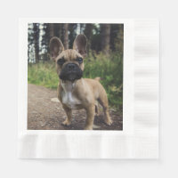 Oreiller à lancer de chien de taureau français