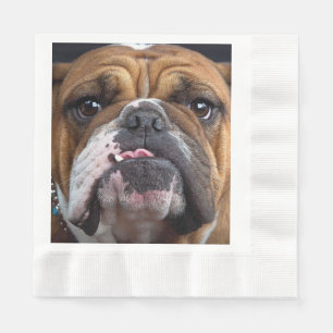 Serviette En Papier Oreillers à lancer de Bulldog anglais