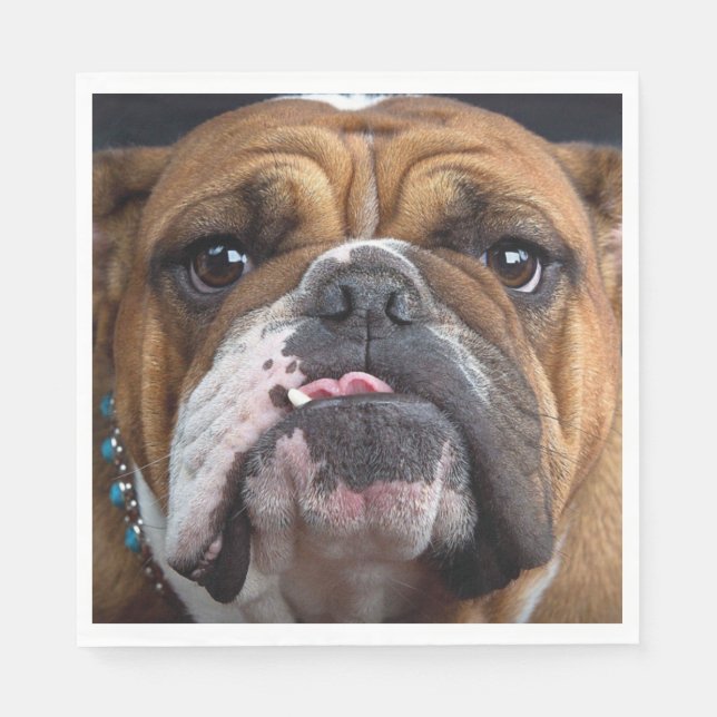 Serviette En Papier Oreillers à lancer de Bulldog anglais (Devant)