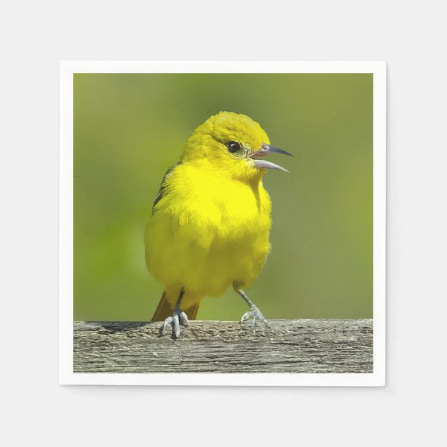 Serviette En Papier Oriole de verger - Photographie originale (Devant)