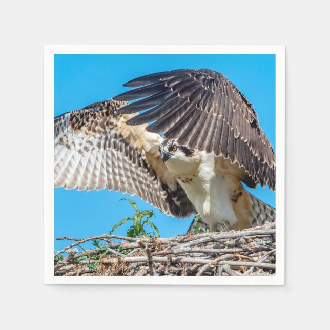 Serviette En Papier Osprey juvénile dans le nid (Devant)