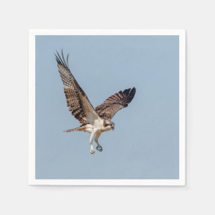 Serviette En Papier Osprey juvénile en vol