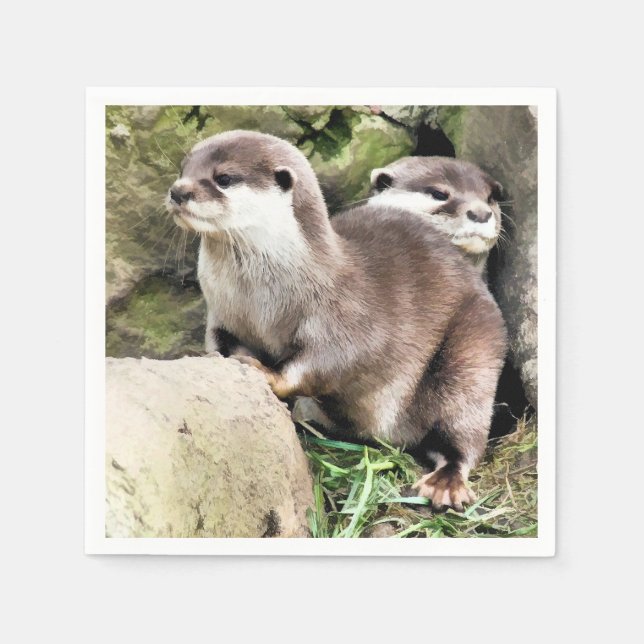 SERVIETTE EN PAPIER OTTERS (Devant)