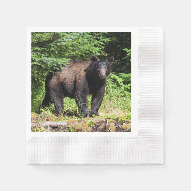 Serviette En Papier Ours noir Alpha (Devant)