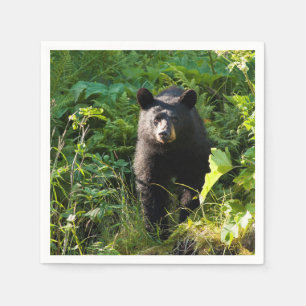 Serviette En Papier Ours noir curieux