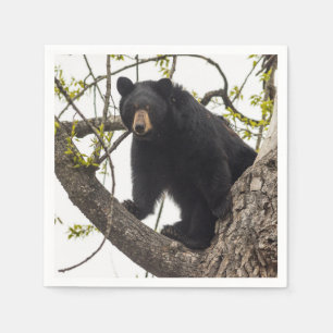 Serviette En Papier Ours noir s'élevant