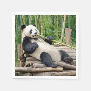 Serviette En Papier Ours Panda mâchant une tige de bambou