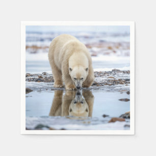 Serviette En Papier Ours polaire regardant dans une flaque de glace fo