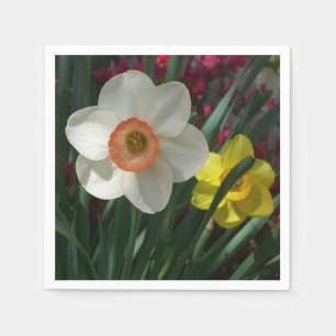 Serviette En Papier Pair of Daffodils Pink and Yellow Spring Flowers